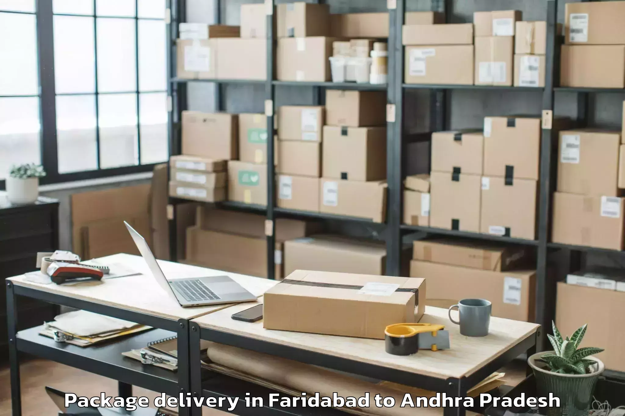 Easy Faridabad to Nuzendla Package Delivery Booking